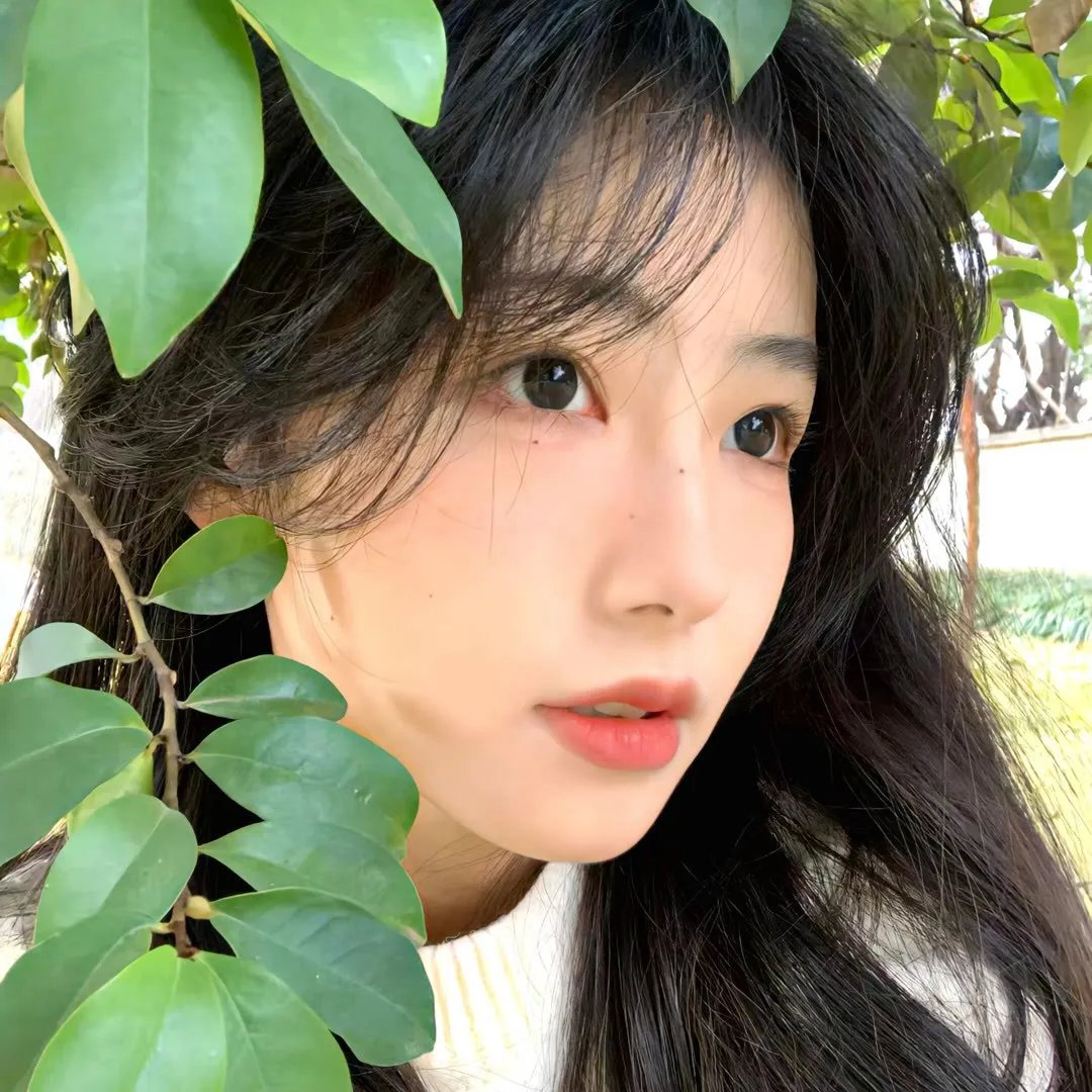 美丽疗情